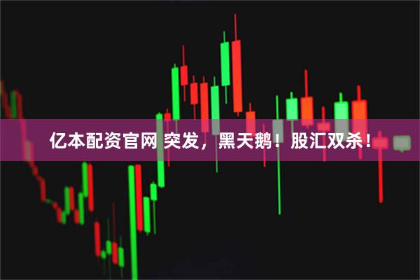 亿本配资官网 突发，黑天鹅！股汇双杀！